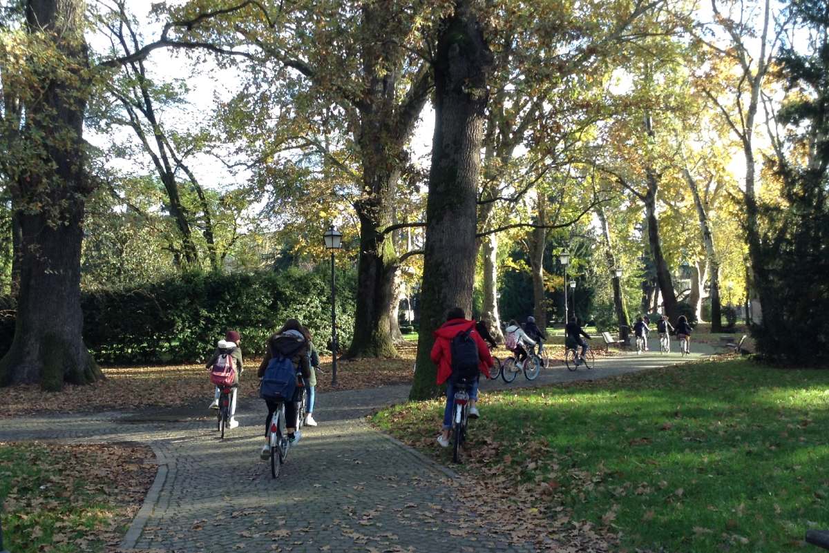 Gente andando en bici por un parque