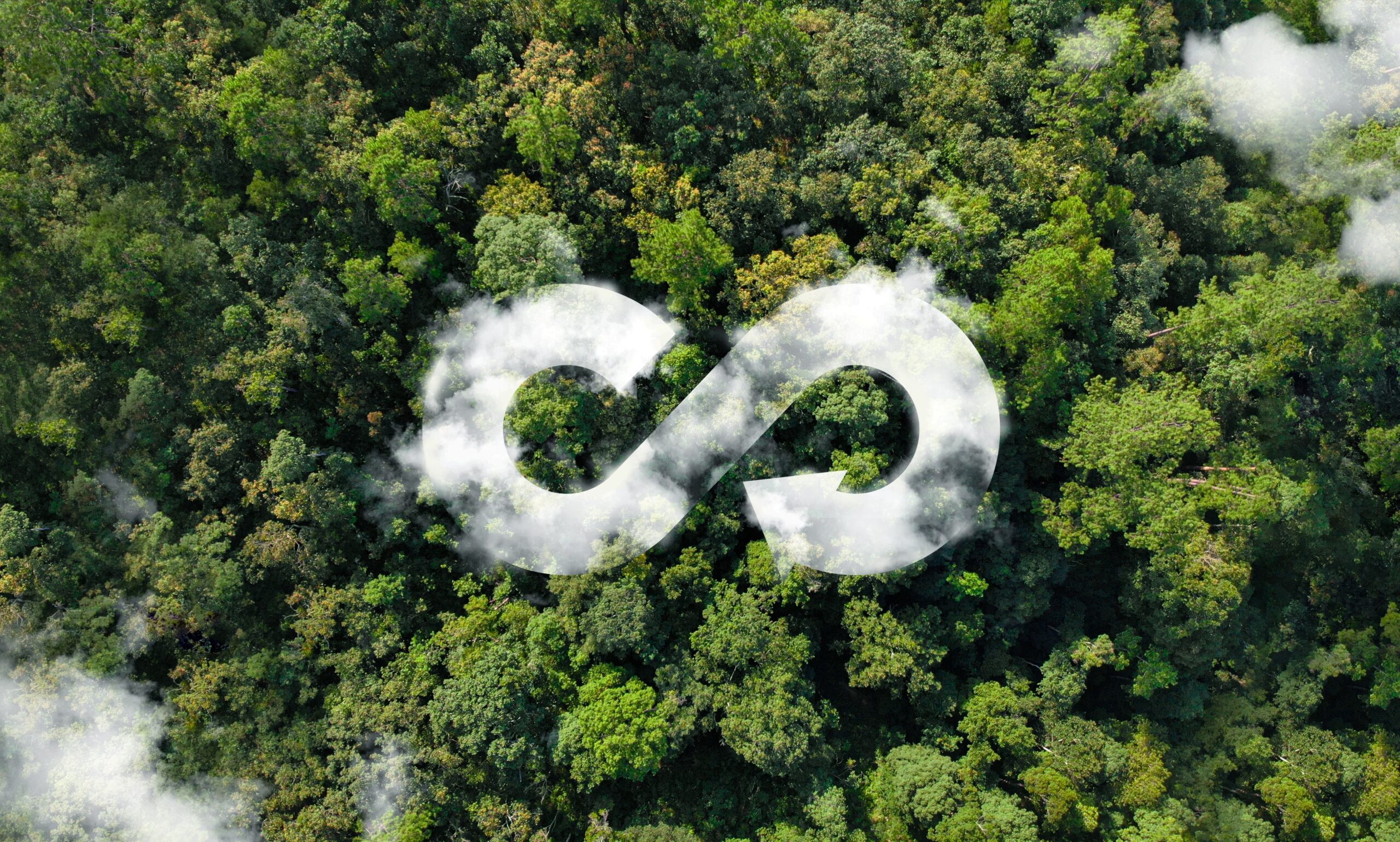 Foto de un bosque con un montaje del símbolo de economía circular hecho por nubes.